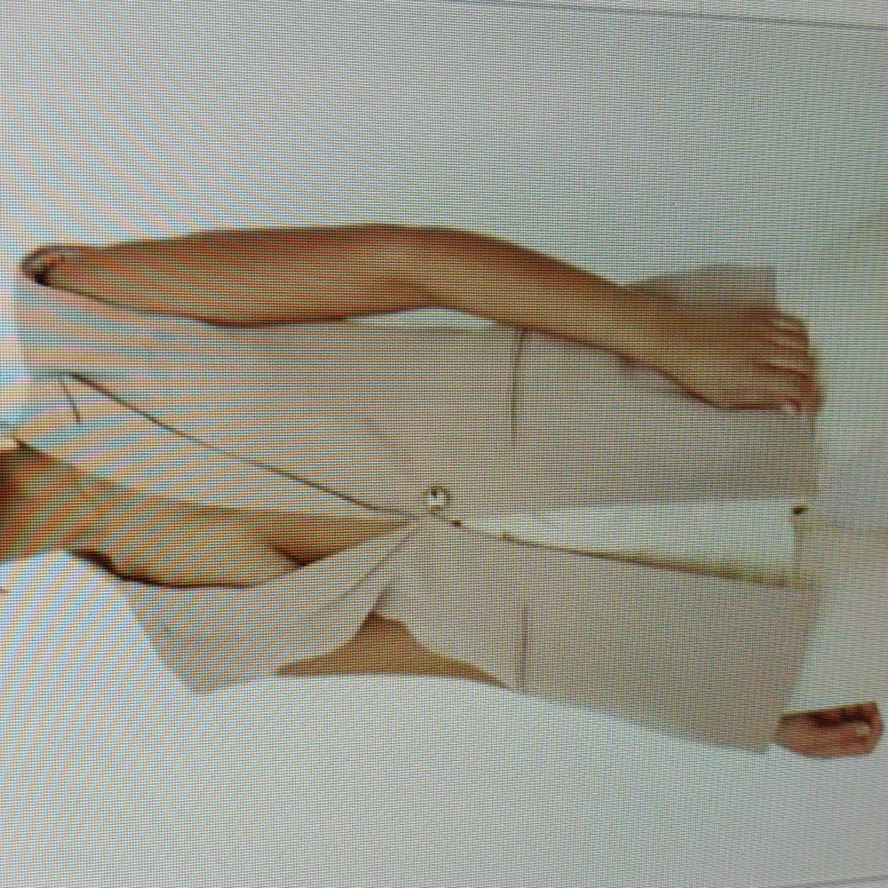 White blazer w tail
